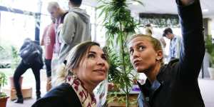 Visitors take selfies at the Expo Cannabis Fair in Uruguay in 2015.