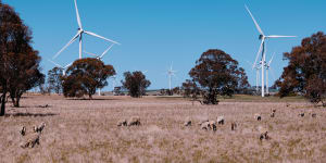 The state government says it is decarbonising the electricity grid so that as households electrify,they are relying on renewable energy,such as that produced by this wind farm near Canberra.