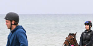 Ashrun at the beach before last year’s Melbourne Cup,whch is part of his tendon rehabilitation. 
