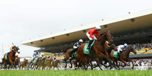 Kingston Charm in winning form at Rosehill. Will be hoping for more success on Saturday at Randwick.