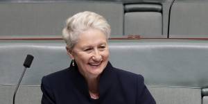 Kerryn Phelps in 2018 during her stint as a federal MP.