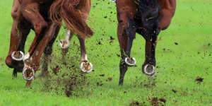 Racing returns to the Sapphire Coast on Monday.