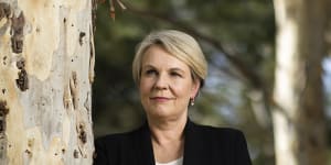 This impressive biography positively transformed my opinion of Tanya Plibersek