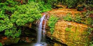 Serenity Falls in the Sunshine Coast hinterland.