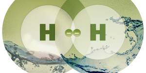 Hype or holy grail:What’s driving the hydrogen rush?