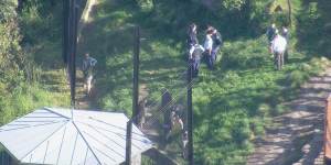 NSW Police are at the zoo as a “precaution”. 