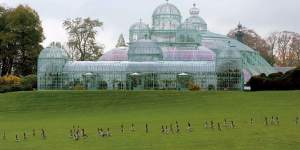The Royal Greenhouses,Brussels.