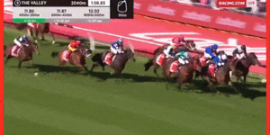 The fighting finish of the Cox Plate.