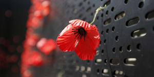 Remembrance Day:Mourning the father I lost