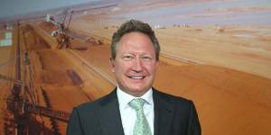 Fortescue Metals chairman Andrew'Twiggy'Forrest. 