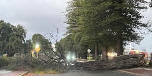 Record winds smash Perth leaving thousands without power,and there’s more on the way