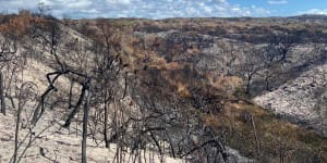 Vistors barred from Fraser Island from Friday evening due to bushfire