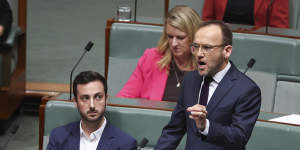 Adam Bandt in the House of Representatives on Wednesday.