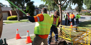 NBN fibre optic cable rollout in South Morang,northers suburbs of Melbourne,