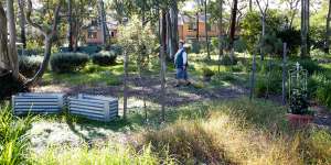 Sister Therese,of Daughters of Charity of St Vincent de Paul,in the garden of the new nun’s living quarters,designed by Ha Architecture,which is a finalist in the multiple housing category of the 2022 NSW Architecture Awards.