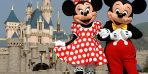 Police interview woman over missing trip to Disneyland