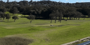 Onlookers captured footage of the crash in August.