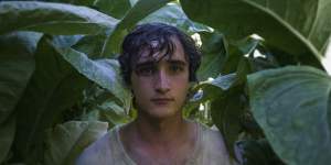 Abstract and ambiguous:Lazzaro.