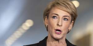 Former workplace relations minister Michaelia Cash.