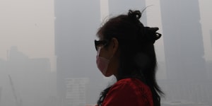 No safe level:pollution labelled a public health emergency