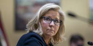 Wyoming congresswoman Liz Cheney,Republican royalty and daughter of former vice-president Dick Cheney,was called a RINO by Donald Trump (Republican in name only) for voting to impeach him. 