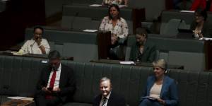 Opposition Leader Anthony Albanese is putting Labor into an election footing for the new year.