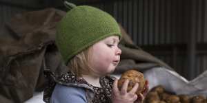Eleanora Dunn,20 months,was born into one of the region’s major potato-farming families.
