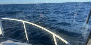 The man was found floating off the NSW coast