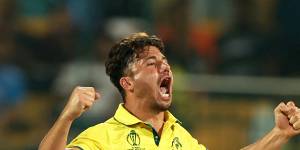 Marcus Stoinis celebrates one of his two wickets against Pakistan.