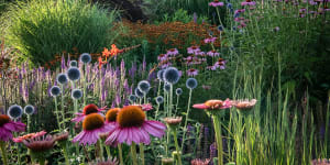 Perennials and imperfections:Garden trends you’ll be seeing in 2024