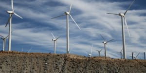 Renewables push:Senegal opens West Africa's first big wind farm