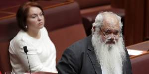 Senator Pat Dodson said"we cannot let the stench of racism and hate linger in this chamber".
