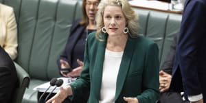 Home Affairs Minister Clare O’Neil has described cybersecurity as an “urgent national problem”.