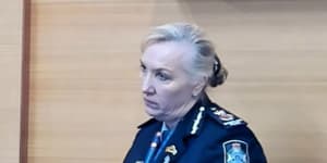 Police Commissioner Katarina Carroll gave evidence at the Independent Commission of Inquiry into QPS Responses to Domestic and Family Violence.
