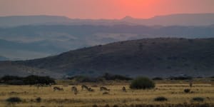 Namibia Sustainable Road Trip:A unique and enticing destination for travellers