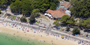 Shark Beach to shut out swimmers until December