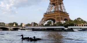 Men’s triathlon postponed due to pollution levels in the Seine