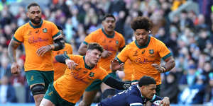 EDINBURGH,SCOTLAND - NOVEMBER 24:Sione Tuipulotu of Scotland scores his team’s first try whilst under pressure from Carlo Tizzano of Australia during the Autumn Nations Series 2024 match between Scotland and Australia at Scottish Gas Murrayfield on November 24,2024 in Edinburgh,Scotland. (Photo by David Rogers/Getty Images)