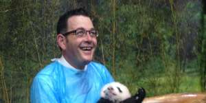 Daniel Andrews visiting pandas during his 2015 China trip.