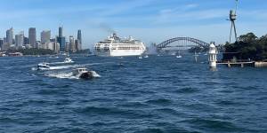 P&O Pacific Explorer arrives in Sydney Harbour,the first cruise ship to arrive since the ban on cruising lifted.