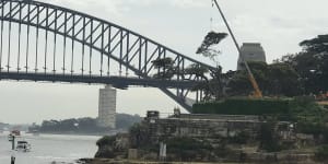 'A real dilemma':Moreton Bay fig tree at Admiralty House cut down to save historic building