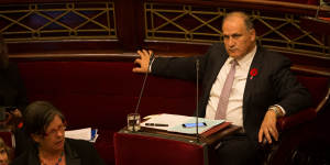 Cesar Melhem in the State Parliament.