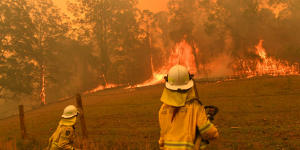 The Hillville bushfire,one of dozens in the region,destroyed many homes over the week.