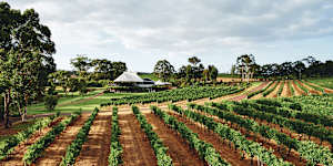 Vasse Felix,one of the best-known in a region full of great wineries.