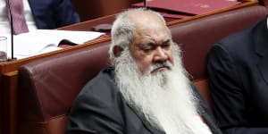 Labor MPs warn of failure in securing a'voice'for Indigenous Australians