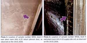 Mould found inside Royal Prince Alfred Hospital on January 19,after two transplant patients died in a fungal infection cluster.