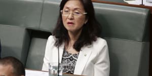 Liberal MP Gladys Liu contributed at least $100,000 to her own election campaign.