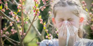 Nothing to sneeze at:Why so many Australians suffer from hay fever