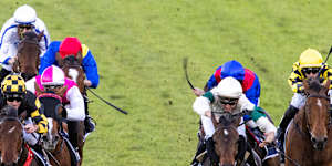 Race-by-race preview and tips for Grafton on Sunday