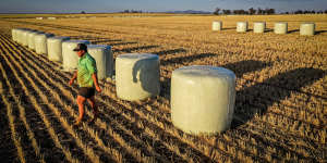 Farmers are warning the federal government they will not bear the burden of future climate policy. 